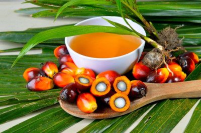 Palm Methyl Ester Derivative Market Forecast (2022-2027)