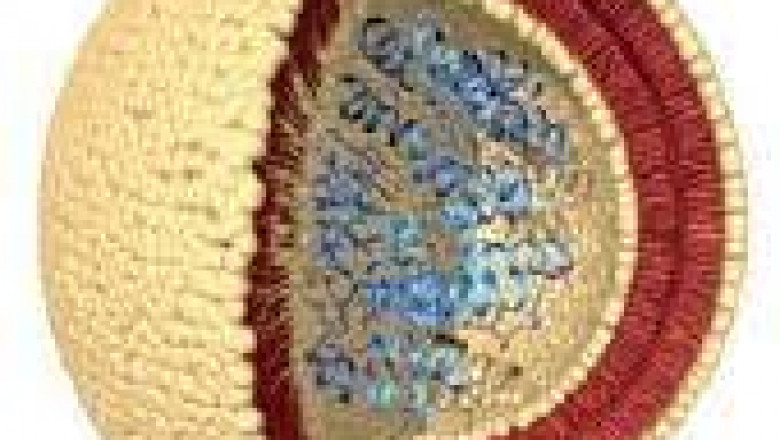 Report on Pharmaceutical Lipids Market Research 2028 - Value Market Research