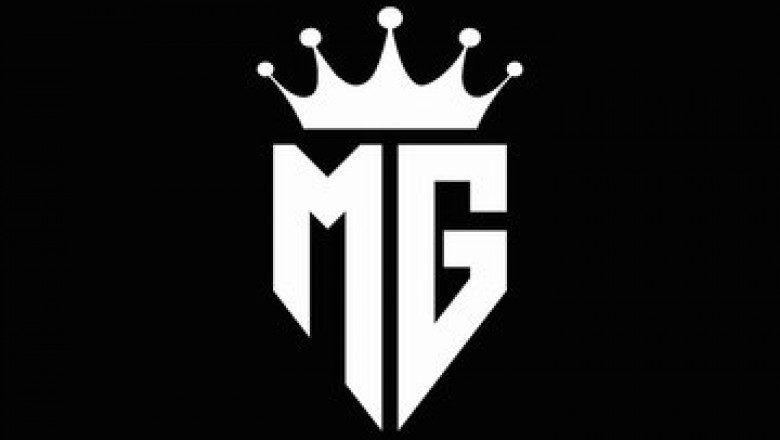 5 spiritual meaning of stink bug