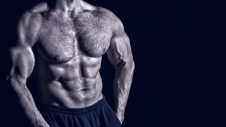Review – How Does It Cause Muscle Anabolism?