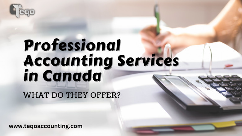 Professional Accounting Services in Canada. What do they offer?