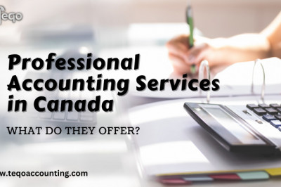 Professional Accounting Services in Canada. What do they offer?