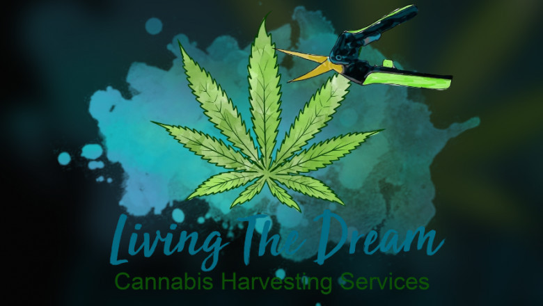 TRIMMING: EXPERT HAND VS. AUTOMATIC MACHINE | LTD TRIMMING