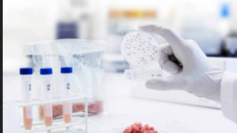 Global Microbiology Testing/Clinical Microbiology Market | To Showcase Strong Cagr Between 2022 and 2031