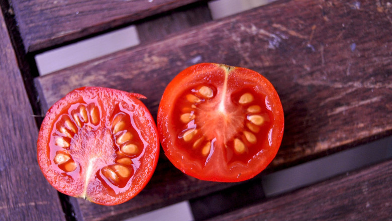 In Humans, Tomatoes Seeds Serve As A Major Dietary Component Because They Improve Skin Health And Boost Immunity