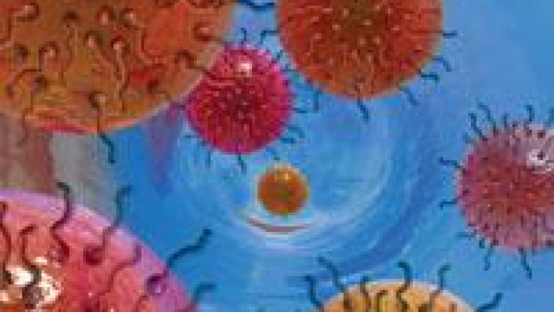 Magnetic Nanoparticles Market is expected to grow at a (CAGR) of 10.3% from 2021 to 2027
