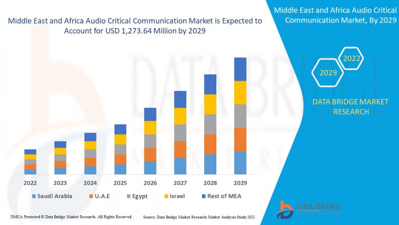 Middle East and Africa Audio Critical Communication Market share Analysis, &amp; Forecast 2029.