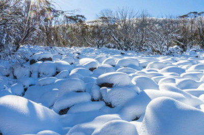 Why Are Landscape Photography Tours So Popular?