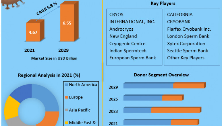 Global Sperm Bank Market Analysis, Industry Growth and Forecast 2029