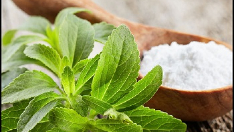 Global Stevia Market, Forecast 2022-2028