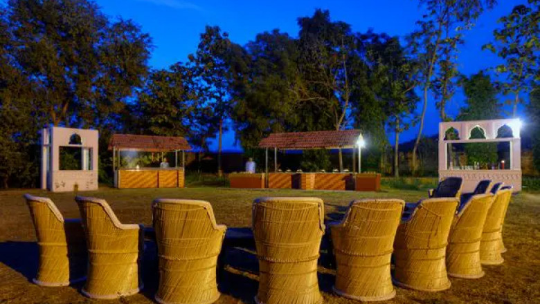 Tiger Safari Tours in India