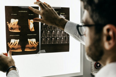 What Are Dental Braces? How They Work