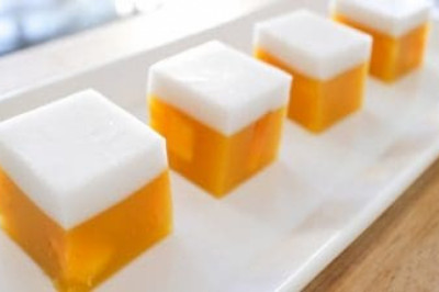 Agar Agar Gum Market Size, Dynamics & Forecast Report to 2028