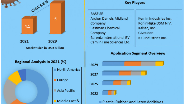 Antioxidant Market Outlook, Research, Trends, Share, Size, Segmentation with Competitive Analysis and Forecast 2029