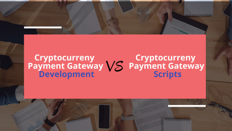 Crypto payment gateway development vs Crypto payment gateway script