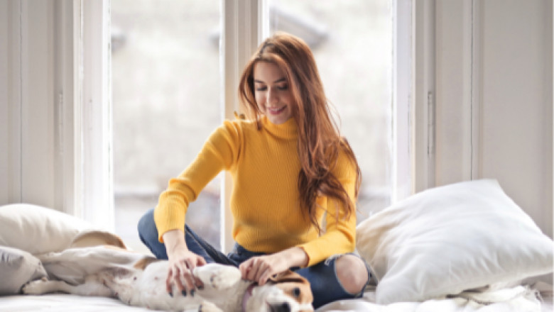 How Do AmericanPetco Services Help People Live Healthier Lives?