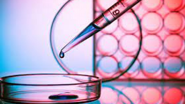 Recombinant Factor C Assay Market 2022 Major Key Players and Industry Analysis Till 2028