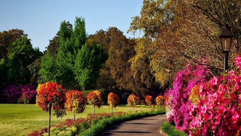 Tips for Buying Wholesale Nursery Supplies