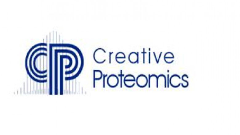 Top-Down Proteomics vs. Bottom-Up Proteomics