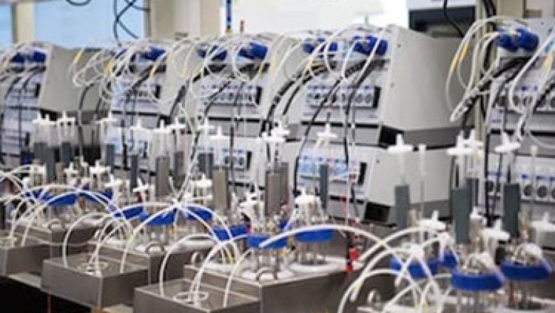 Viral Vector Manufacturing Services Market Report 2028 | Industry Analysis By Top Key Players