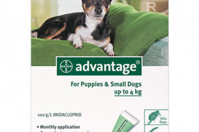 Buy Advantage Flea &amp; Tick for Dogs | Discount 15%