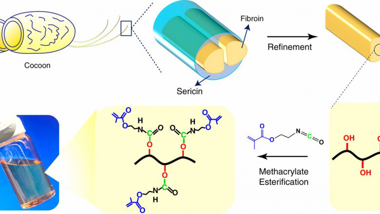 Global Silk Fibroin Market Current Trends and Future Aspect Analysis Report 2021–2028