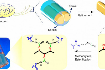 Global Silk Fibroin Market Current Trends and Future Aspect Analysis Report 2021–2028