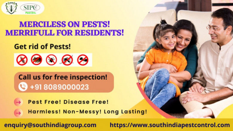 Best Pest Control Services in Bangalore