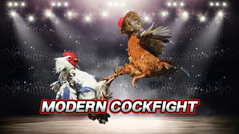 Online Cockfighting game - An Overview
