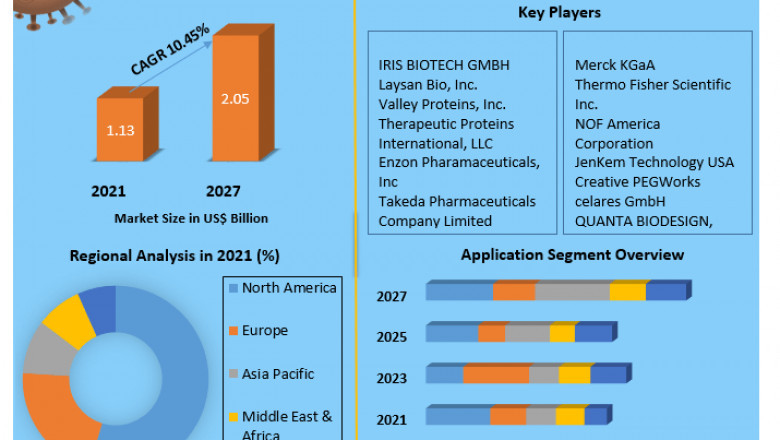 Global PEGylated Proteins Market Opportunities, Outlook and Forecast 2029