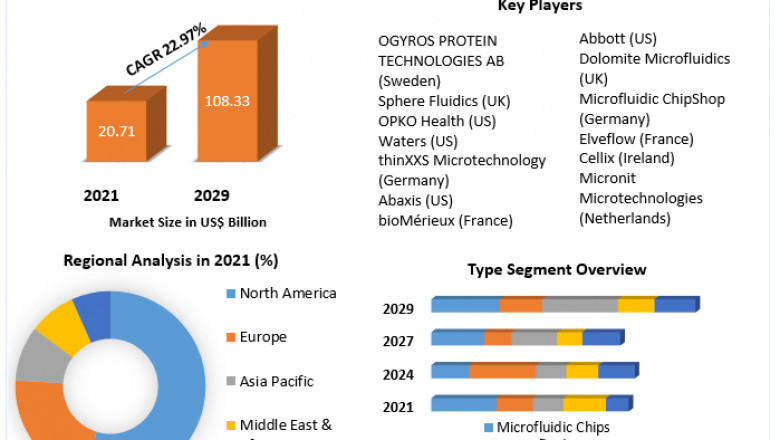 Microfluidics Device Market Growth, Opportunities And Forecast 2029