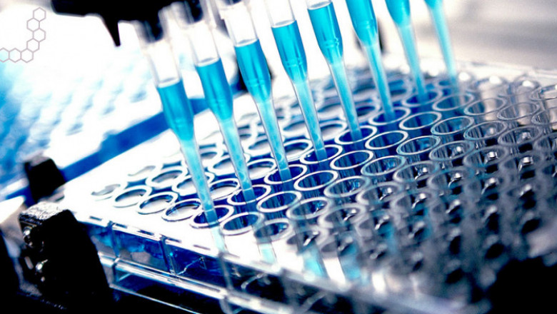 Bioanalytical Services Market Insight | Outlook | Growth Analysis Report 2028