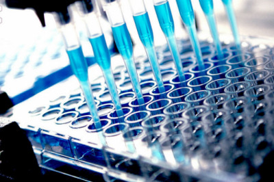 Bioanalytical Services Market Insight | Outlook | Growth Analysis Report 2028