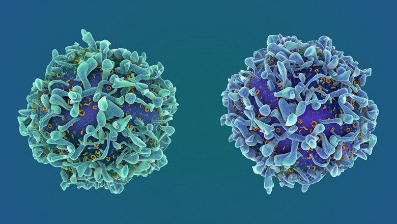 Global Biosimilars Market Report, Latest Trends, Industry Opportunity & Forecast to 2028