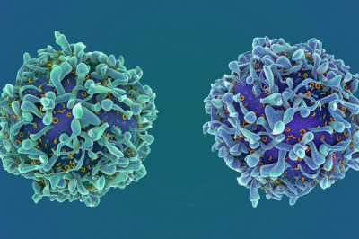 Global Biosimilars Market Report, Latest Trends, Industry Opportunity & Forecast to 2028