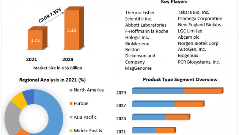 Global Pneumonia Testing Market Industry Outlook, Size, Growth Factors and Forecast To 2029
