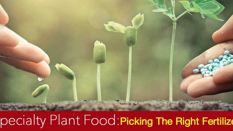 Mexico Specialty Fertilizer Market Size, Share, Growth and Forecast 2022-2027