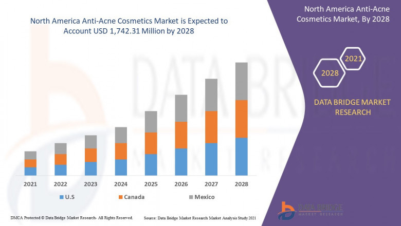 North America Anti-Acne Cosmetics Market Scope and Market Size