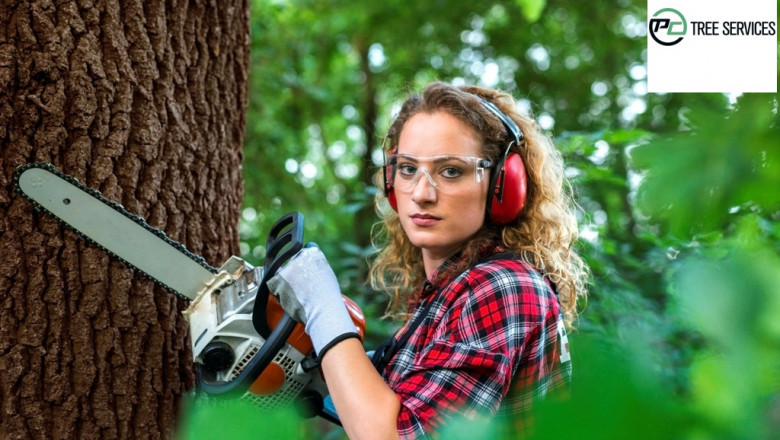 4 Justification To Employ An Arborist