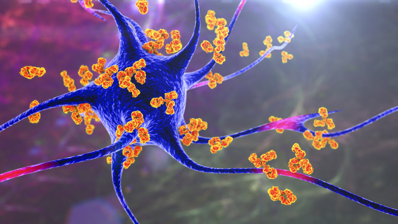 Autoimmune Disease Treatment Market Emerging Demands, Size & Revenue, Business Prospects to 2028