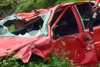 Dog Bite Lawyer Temecula