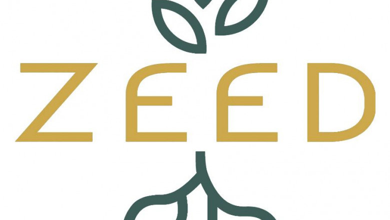 Get The Best Lebanese Olive Oil | Zeed Pantry