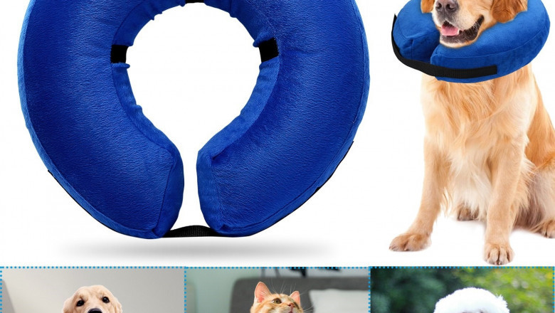 Global Inflatable Pet Collar Market Is Expected To Foresee Significant Growth During The Forecast Period.