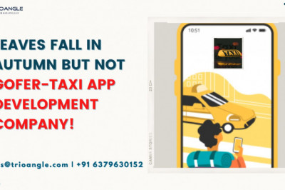 Leaves Fall in Autumn But Not Gofer-Taxi app development company!