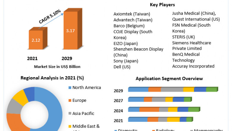 Medical Display Market Growth, Size, Revenue Analysis, Top Leaders and Forecast 2029
