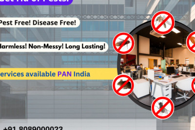 Pest Control Services in Cochin