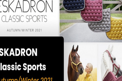 Welche Arten von Pferdelaken und -decken gibt es?