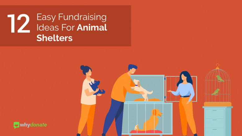 12 Easy Fundraising Ideas For Animal Shelters