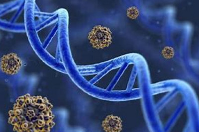 DNA Polymerase Market 2022 | Industry Demand, Fastest Growth, Opportunities Analysis and Forecast To 2028