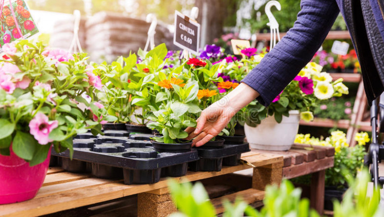 Global Floriculture Market Growth, Size, Share and Forecast 2027